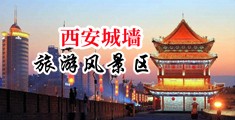 日欧操逼网中国陕西-西安城墙旅游风景区