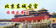双马尾白虎一线天大奶美女主播在线中国北京-东城古宫旅游风景区